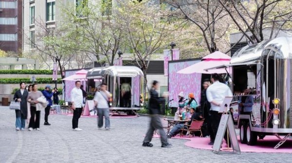 樱花如雪春衫薄，上海春日颜值经济“美”力拉满