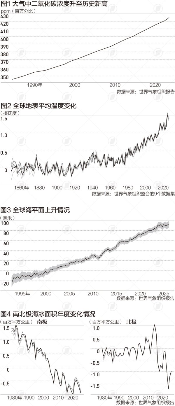 全球气候关键指标亮红灯，年灾害直接损失已超2000亿美元|树线图