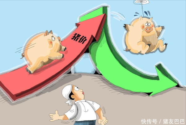 2天上涨5毛4后猪价承压，二育降温、集团增量，接下来走势如何？