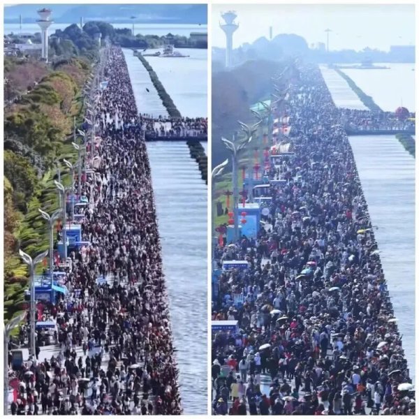 “游客比海鸥还多”，两公里的路要走40多分钟，管理方：建议乘坐公共交通前往