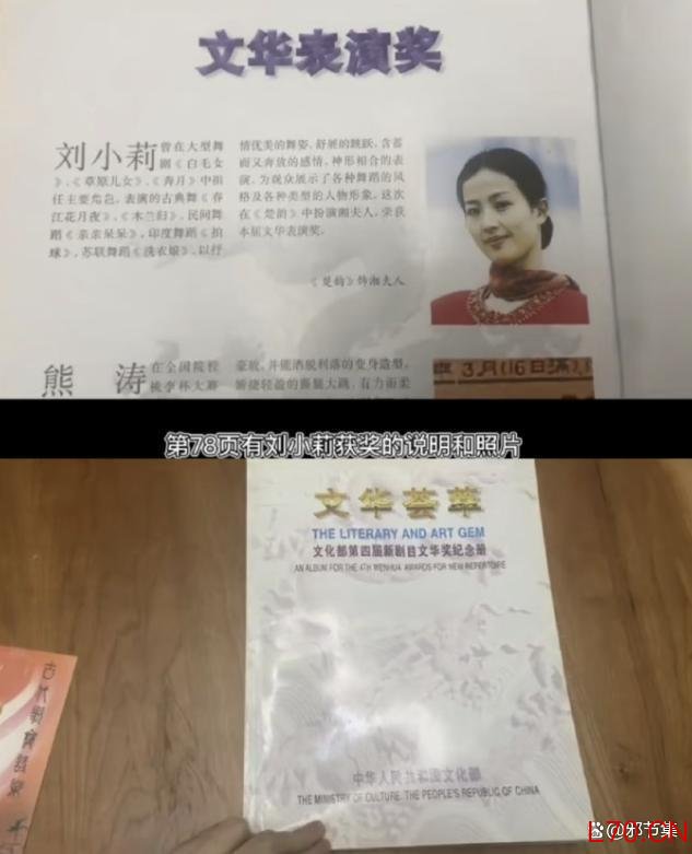 刘亦菲的原名是安风 名字背后的故事