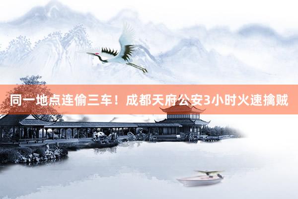 同一地点连偷三车！成都天府公安3小时火速擒贼