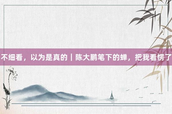 不细看，以为是真的｜陈大鹏笔下的蝉，把我看愣了