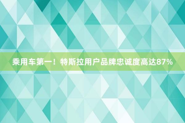 乘用车第一！特斯拉用户品牌忠诚度高达87%