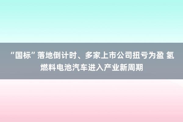 “国标”落地倒计时、多家上市公司扭亏为盈 氢燃料电池汽车进入产业新周期