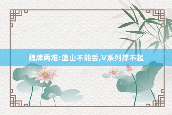 魏牌两难:蓝山不能丢,V系列撑不起