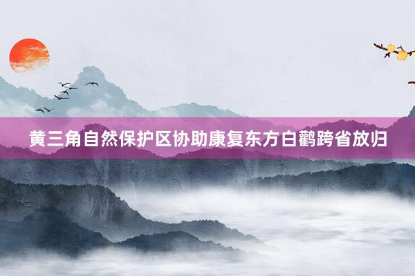 黄三角自然保护区协助康复东方白鹳跨省放归