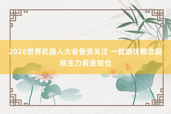2026世界机器人大会备受关注 一批绩优概念股获主力资金加仓