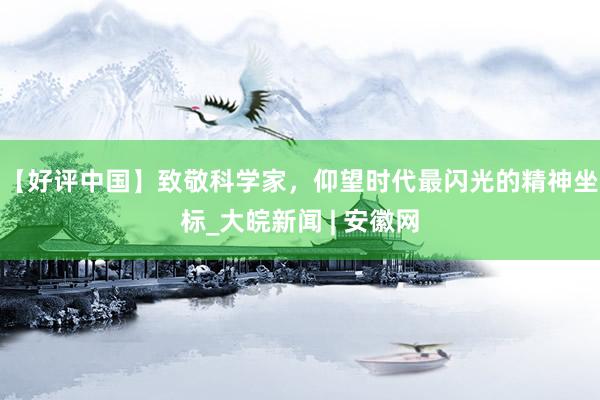 【好评中国】致敬科学家，仰望时代最闪光的精神坐标_大皖新闻 | 安徽网