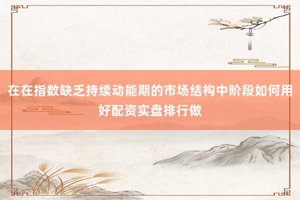 在在指数缺乏持续动能期的市场结构中阶段如何用好配资实盘排行做