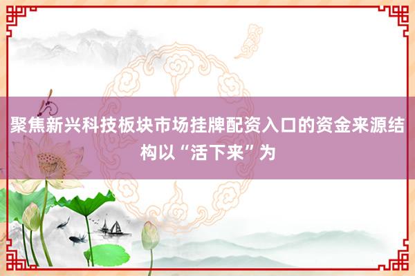 聚焦新兴科技板块市场挂牌配资入口的资金来源结构以“活下来”为