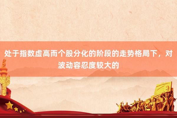 处于指数虚高而个股分化的阶段的走势格局下，对波动容忍度较大的