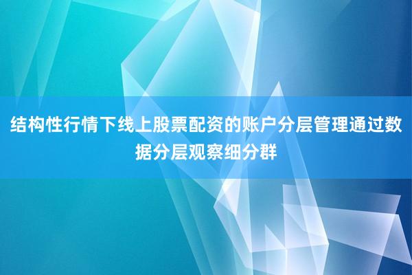 结构性行情下线上股票配资的账户分层管理通过数据分层观察细分群
