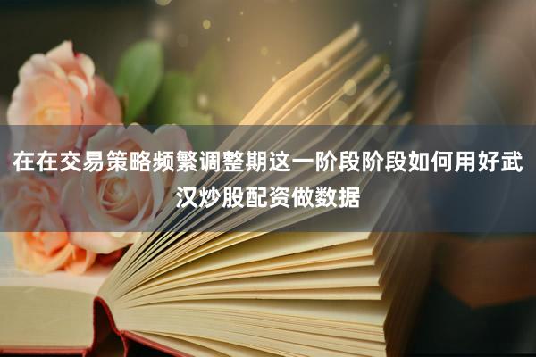 在在交易策略频繁调整期这一阶段阶段如何用好武汉炒股配资做数据