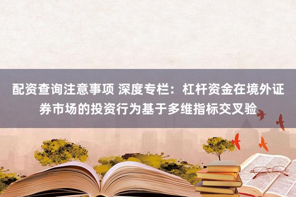 配资查询注意事项 深度专栏：杠杆资金在境外证券市场的投资行为基于多维指标交叉验