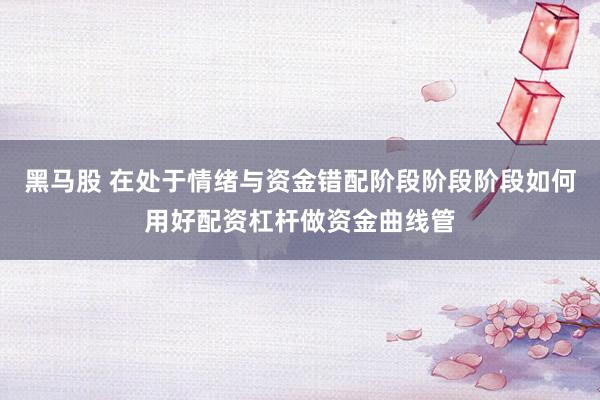 黑马股 在处于情绪与资金错配阶段阶段阶段如何用好配资杠杆做资金曲线管