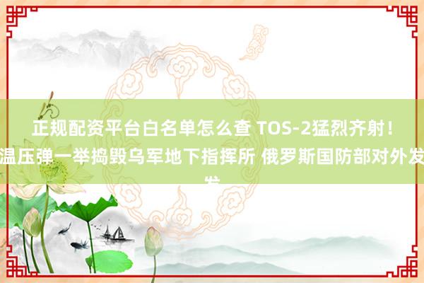 正规配资平台白名单怎么查 TOS‑2猛烈齐射！温压弹一举捣毁乌军地下指挥所 俄罗斯国防部对外发