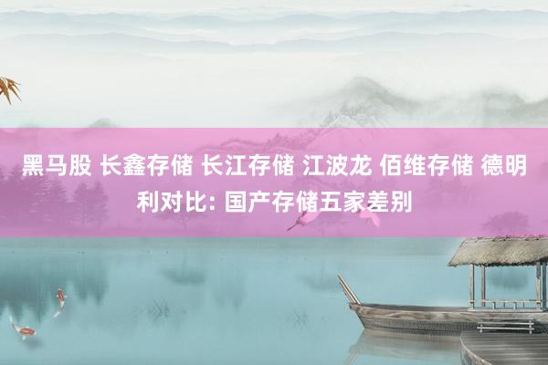 黑马股 长鑫存储 长江存储 江波龙 佰维存储 德明利对比: 国产存储五家差别