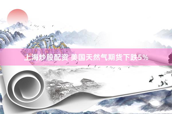 上海炒股配资 美国天然气期货下跌5%